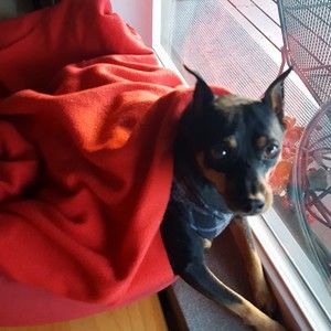 Meet your Posher, Jody